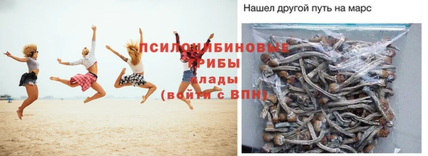 спайс Гусиноозёрск