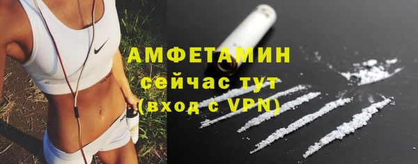 таблы Гусев