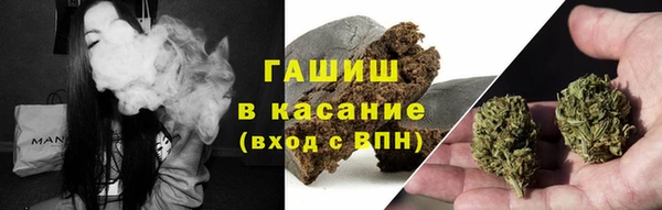 прущие грибы Дмитров