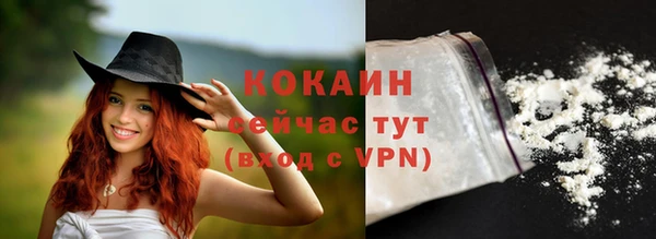 прущие грибы Дмитров