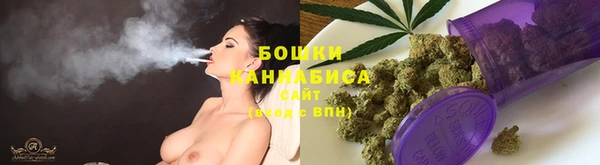 прущие грибы Дмитров