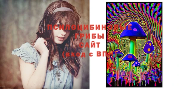 винт Гусь-Хрустальный