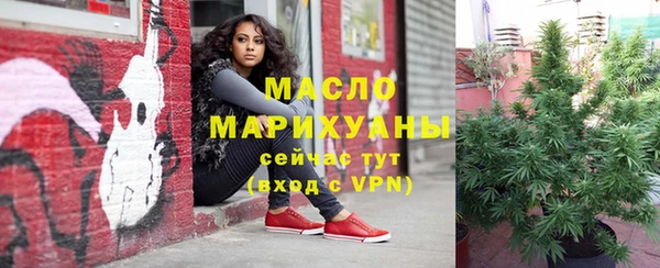 таблы Гусев