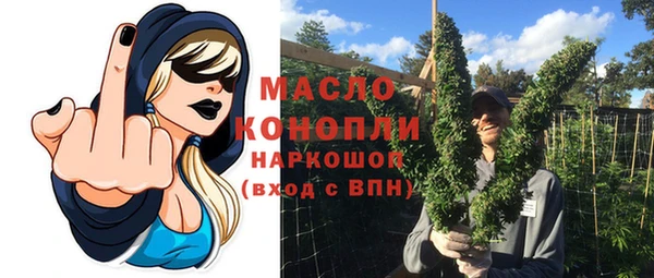 таблы Гусев