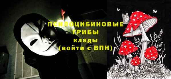 прущие грибы Дмитров