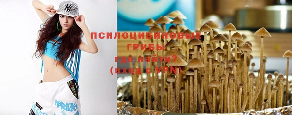 таблы Гусев