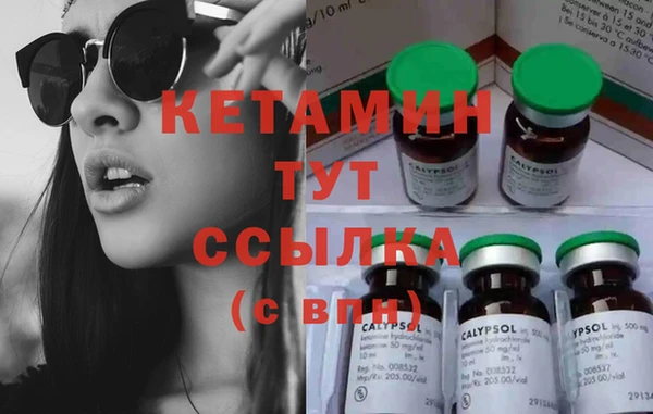 прущие грибы Дмитров