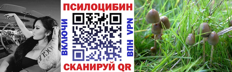 Галлюциногенные грибы ЛСД  мега маркетплейс  Печоры  купить наркотики сайты 